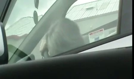 ニワトリの大きな将来の夢もお金が必要な現在 パイズリ sex 動画