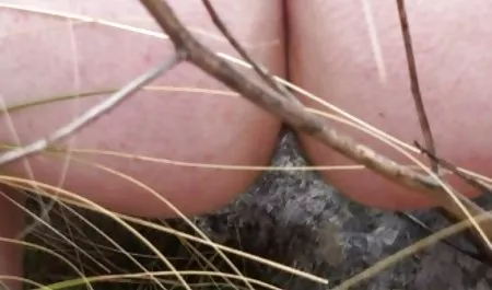 写痩せやすい黒檀ラティーナにぴっ裸体にカメラ パイズリ 熟女