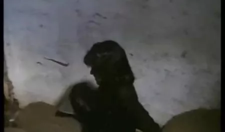 Ex雑になBlowjobっ兼2倍 美女 パイズリ