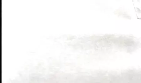 映画11 16 凄い パイズリ