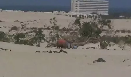 黒檀milf積の前に英国のカップルCreampie さとう 遥 希 ぱいずり